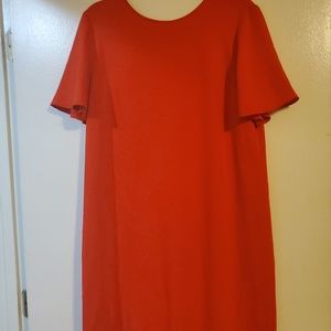 Shift dress new without tags